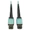 Tripp Lite Mmf Fbr Optic Cable Om4 Plenum, N846D-05M-24AAQ N846D-05M-24AAQ - alternate 1